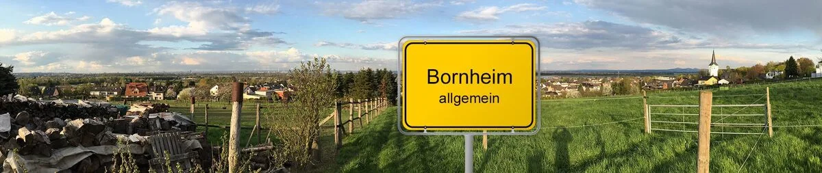 Immobilienpreise Bornheim